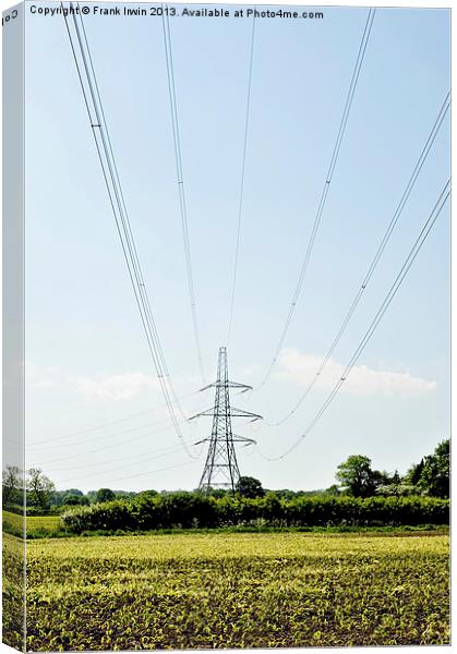 A mighty pylon across a field Canvas Print by Frank Irwin