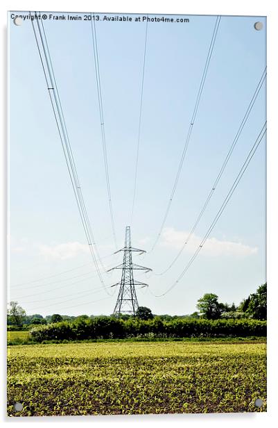 A mighty pylon across a field Acrylic by Frank Irwin