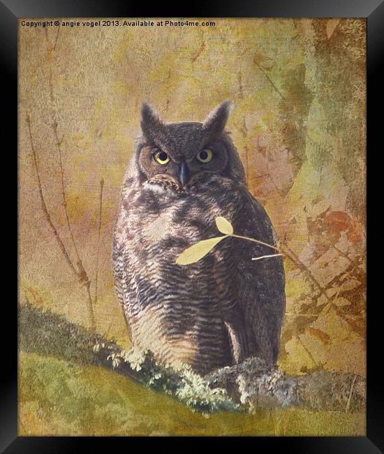 Autumn Owl Framed Print by angie vogel