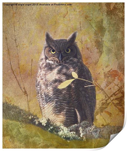Autumn Owl Print by angie vogel