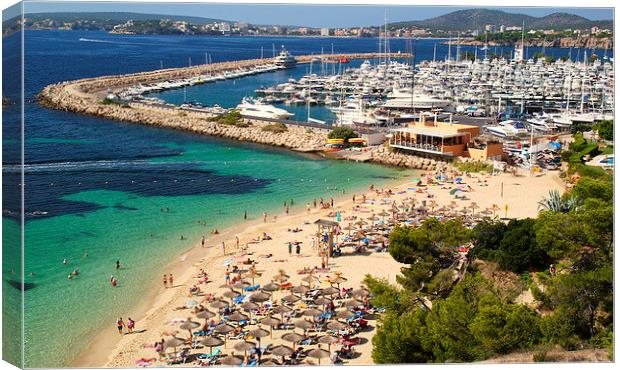 Portals Beach and Marina Mallorca Canvas Print by Peter F Hunt