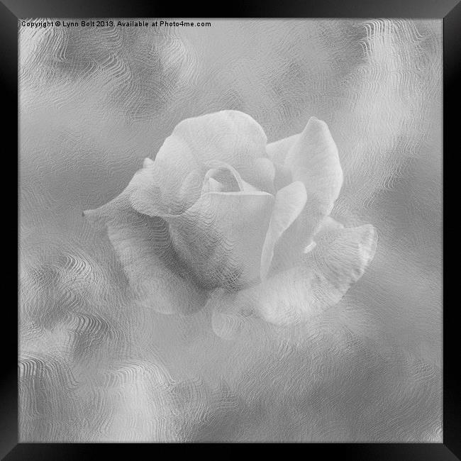 Textured Rose Framed Print by Lynn Bolt