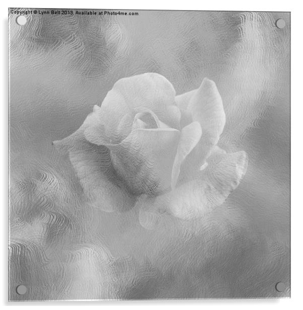 Textured Rose Acrylic by Lynn Bolt