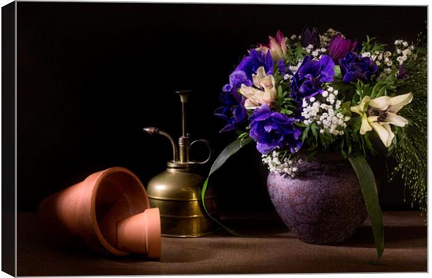 A Vase of Anemones Canvas Print by Ann Garrett