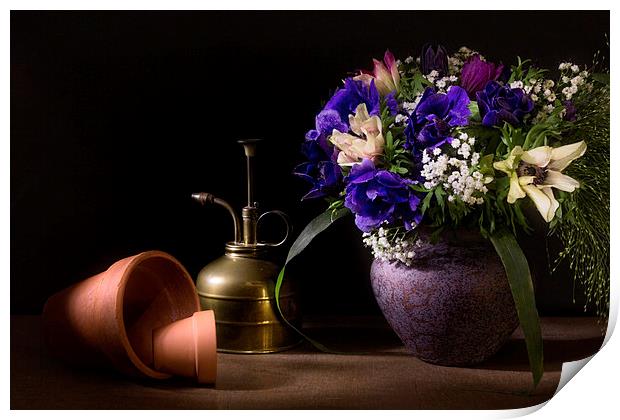 A Vase of Anemones Print by Ann Garrett