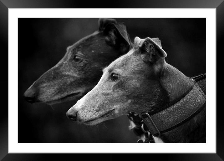 Rolo & Molly Framed Mounted Print by Judith Parkyn