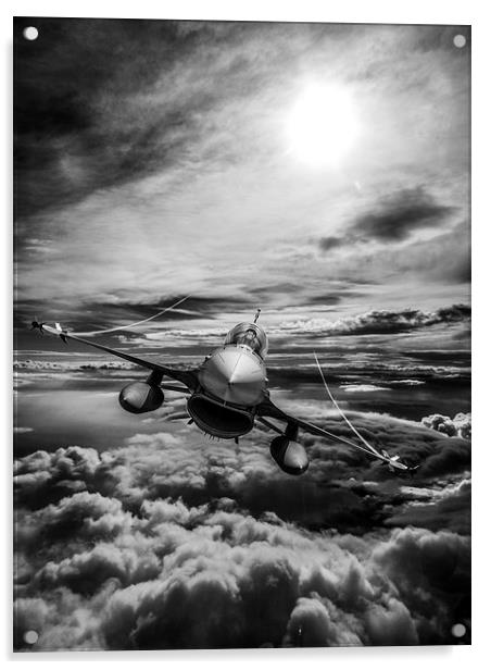 F-16 Fighting Falcon Acrylic by P H