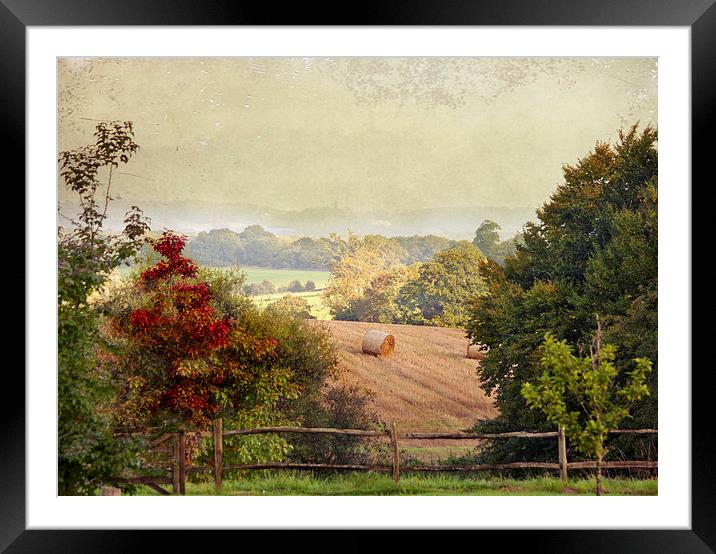 October Fields Framed Mounted Print by Dawn Cox