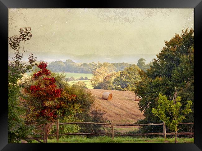 October Fields Framed Print by Dawn Cox