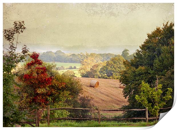 October Fields Print by Dawn Cox