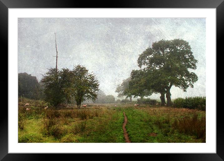 A Path to Follow Framed Mounted Print by Dawn Cox