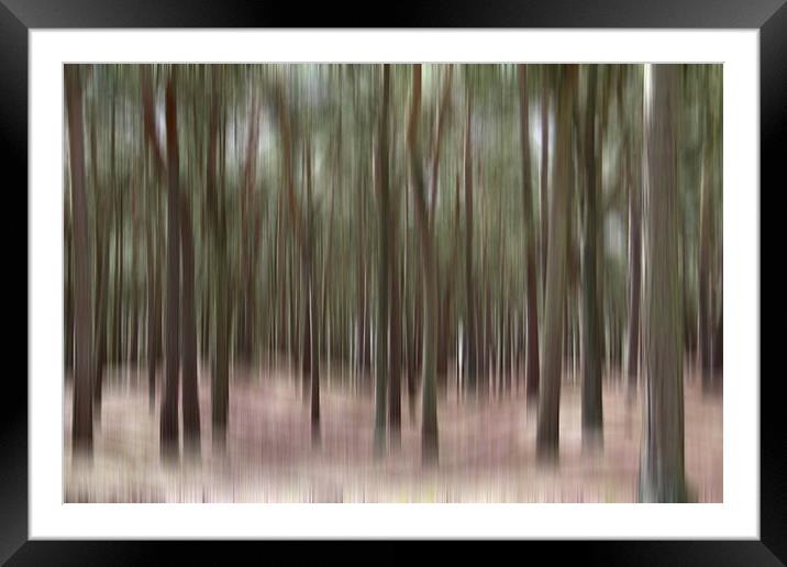 Pine Trees at Formby Framed Mounted Print by Wayne Molyneux