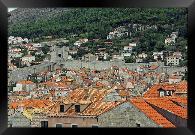 Walls of Dubrovnik Framed Print by Tony Murtagh