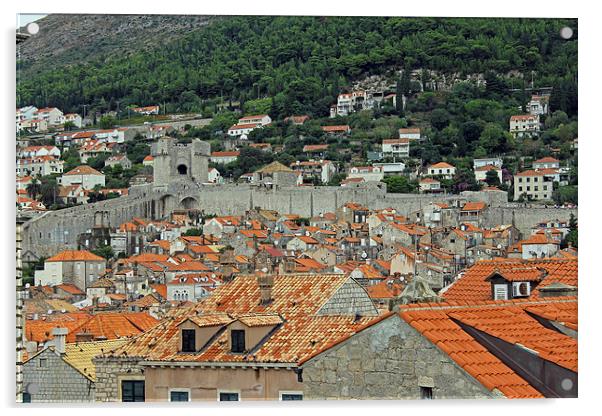 Walls of Dubrovnik Acrylic by Tony Murtagh