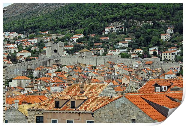 Walls of Dubrovnik Print by Tony Murtagh