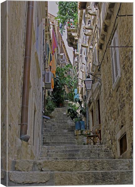 Dubrovnik Steps Canvas Print by Tony Murtagh