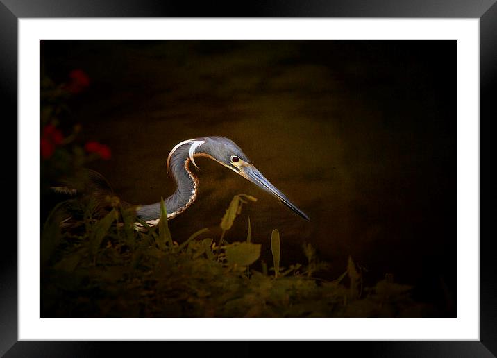 Hunting Framed Mounted Print by Anne Rodkin