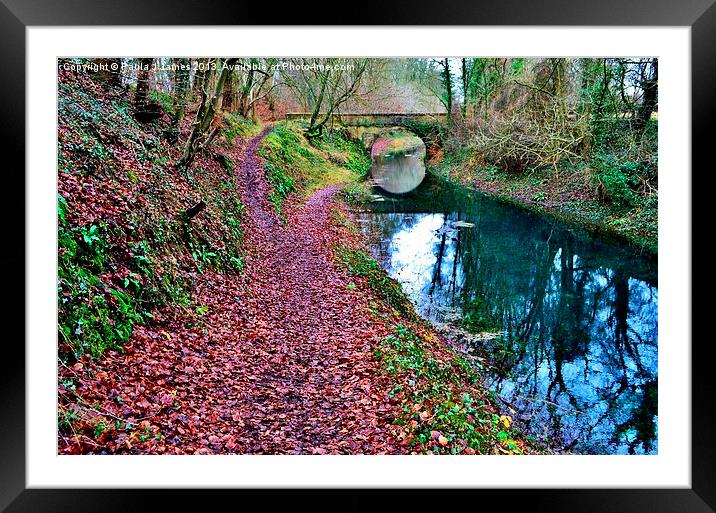 Canal in the Cotswolds Framed Mounted Print by Paula J James