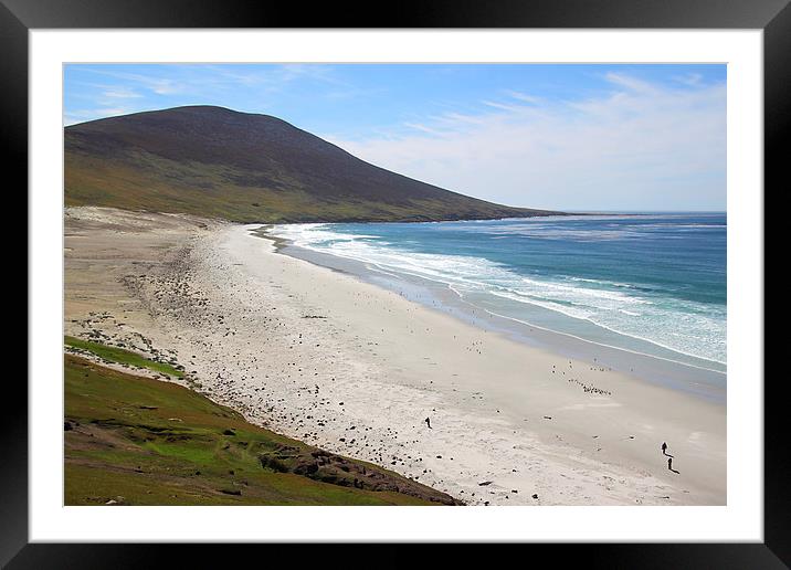 The Beach on The Neck of Saunders Island Framed Mounted Print by Carole-Anne Fooks