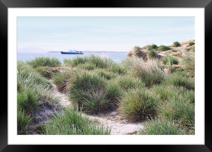 Shoreline Vegetation ob Saunders Island Framed Mounted Print by Carole-Anne Fooks