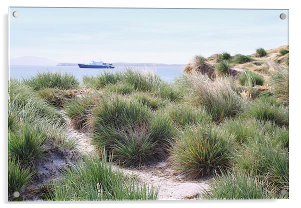 Shoreline Vegetation ob Saunders Island Acrylic by Carole-Anne Fooks