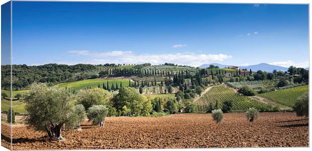 Tuscany Landscape Canvas Print by Stephen Mole