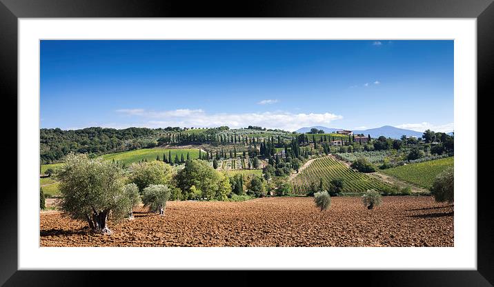 Tuscany Landscape Framed Mounted Print by Stephen Mole