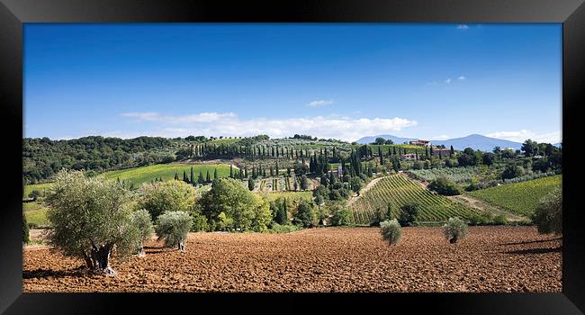 Tuscany Landscape Framed Print by Stephen Mole
