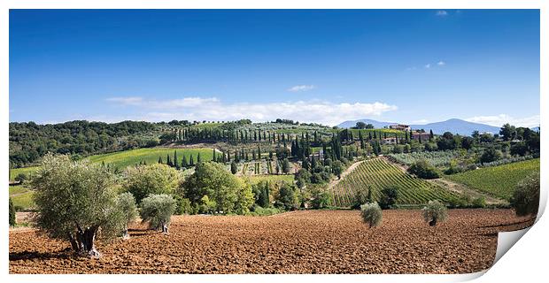 Tuscany Landscape Print by Stephen Mole