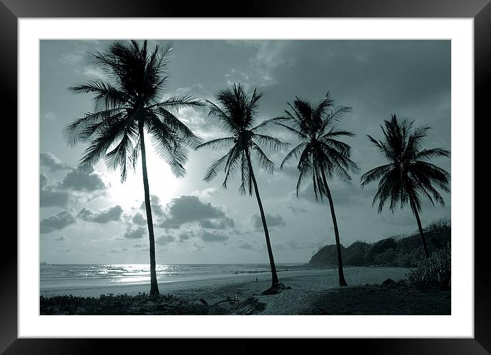 Duotone Palm Trees Framed Mounted Print by james balzano, jr.