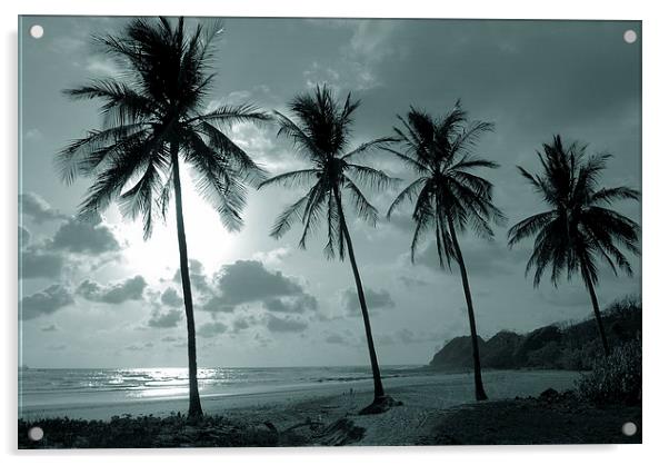 Duotone Palm Trees Acrylic by james balzano, jr.