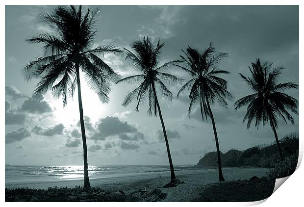 Duotone Palm Trees Print by james balzano, jr.