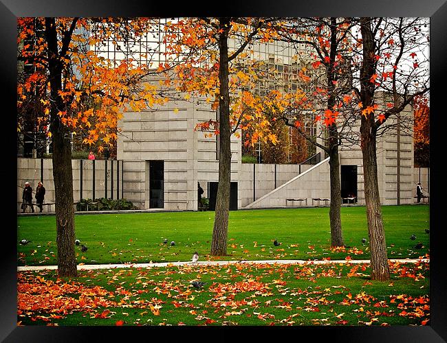 Parc De citreon - Paris Framed Print by Philip Hurrell