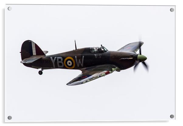 Hawker Hurricane YB-W Acrylic by J Biggadike