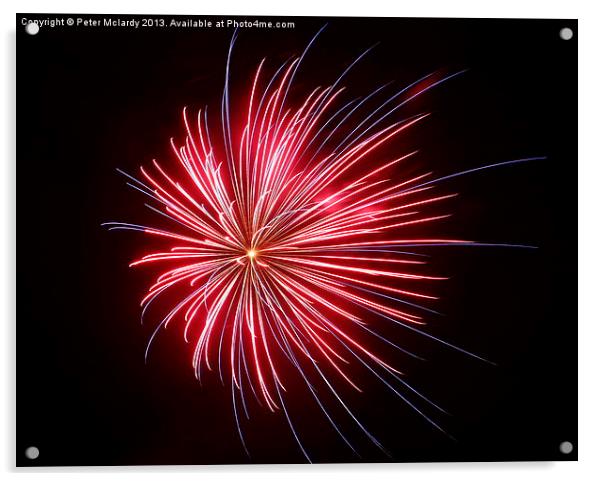colourful exploding firework Acrylic by Peter Mclardy