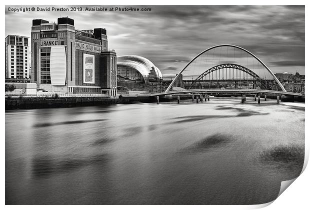 Tyne Bridges, Baltic and Sage Print by David Preston