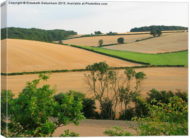Chiltern View from A41 Bypass Canvas Print by Elizabeth Debenham