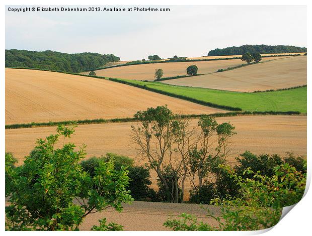 Chiltern View from A41 Bypass Print by Elizabeth Debenham