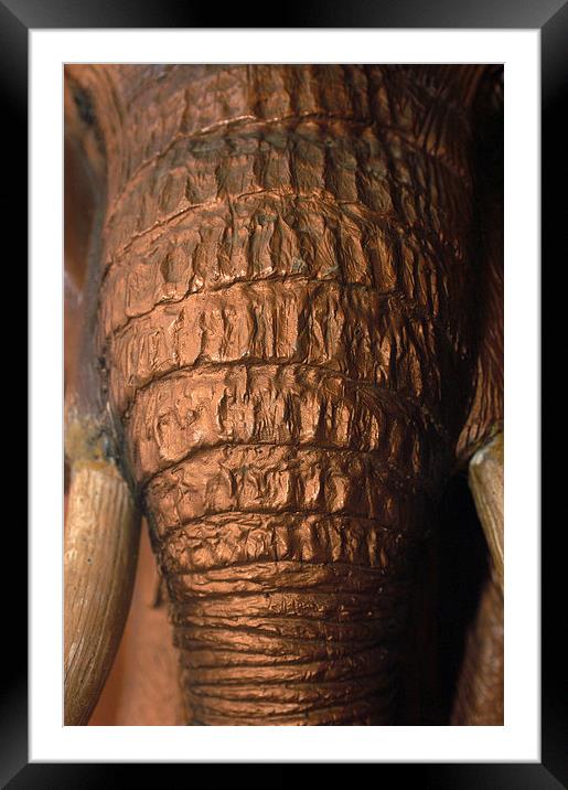 JST2566 Copper Trunk Framed Mounted Print by Jim Tampin