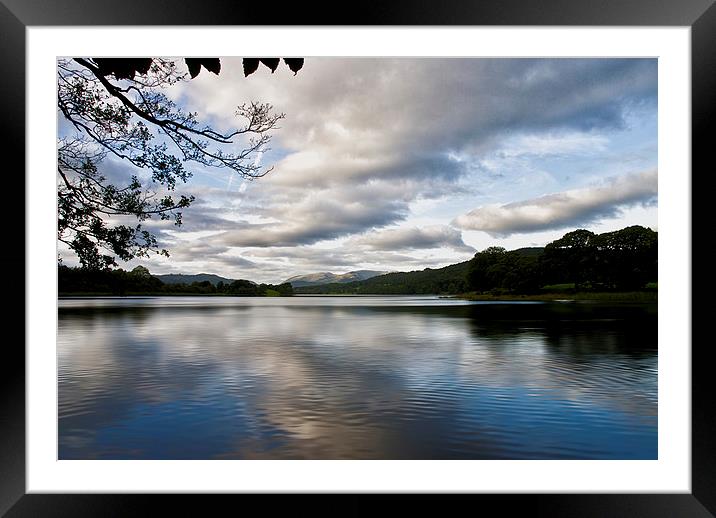 Esthwaite Water Evening Calm Framed Mounted Print by Jacqi Elmslie