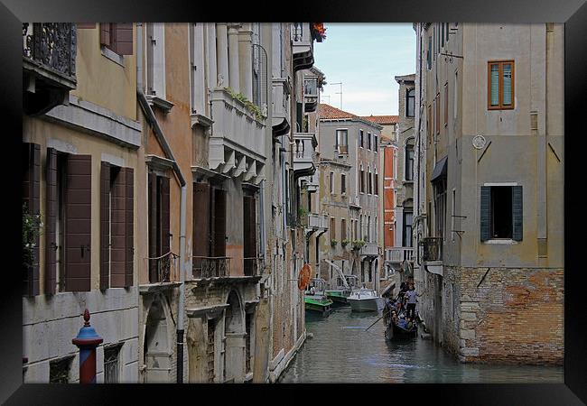 Gondolas on Backstreet Cana Framed Print by Tony Murtagh