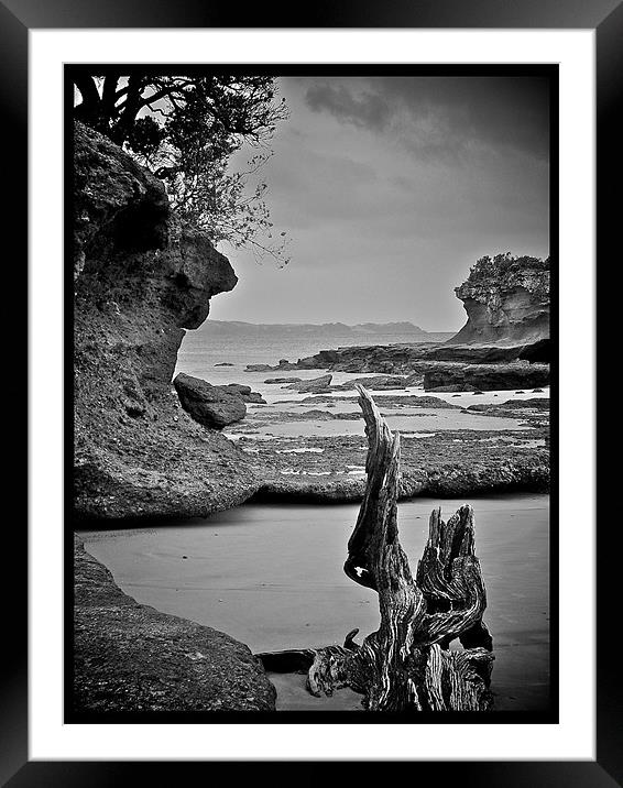 Driftwood New Zealand Framed Mounted Print by Philip Hurrell
