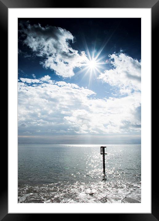 Out in the sun Framed Mounted Print by Phil Wareham
