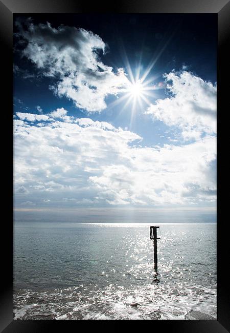 Out in the sun Framed Print by Phil Wareham