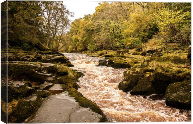 The Strid on the River Wharfe Canvas Print by Peter McCormack