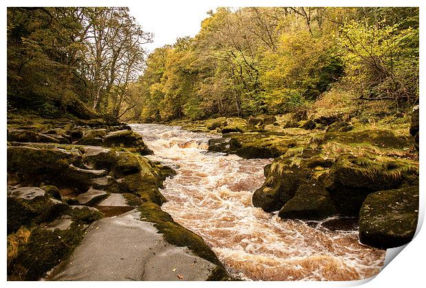 The Strid on the River Wharfe Print by Peter McCormack