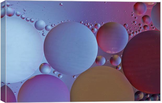 Oil on water abstract Canvas Print by Dan Ward