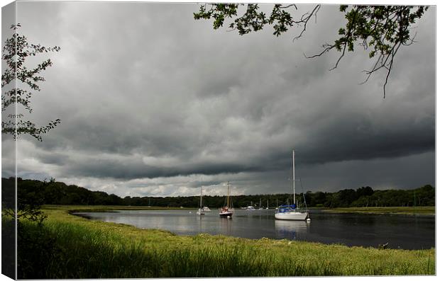 Stormy skys over Beaulieu river Canvas Print by Dan Ward