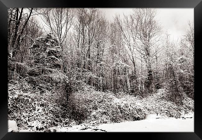 Duotone of Snow and Trees Framed Print by james balzano, jr.