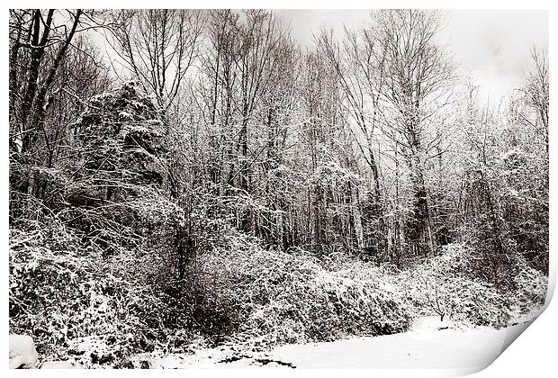 Duotone of Snow and Trees Print by james balzano, jr.